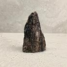 Rough black tourmaline crystal 12cm, bronze shimmer across the ridges, front view — Eternal Spirit