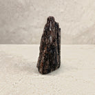 Rough black tourmaline crystal 12cm, bronze shimmer, side view — Eternal Spirit