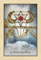 The Native Heart Healing Oracle card demonstrating the deck's inspired artistry — Eternal Spirit
