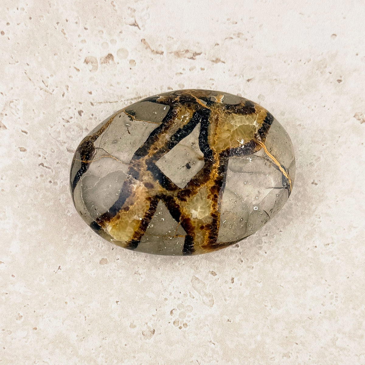Septarian crystal soap stone 7cm, grey with a honey and brown cracked pattern, viewed from above — Eternal Spirit