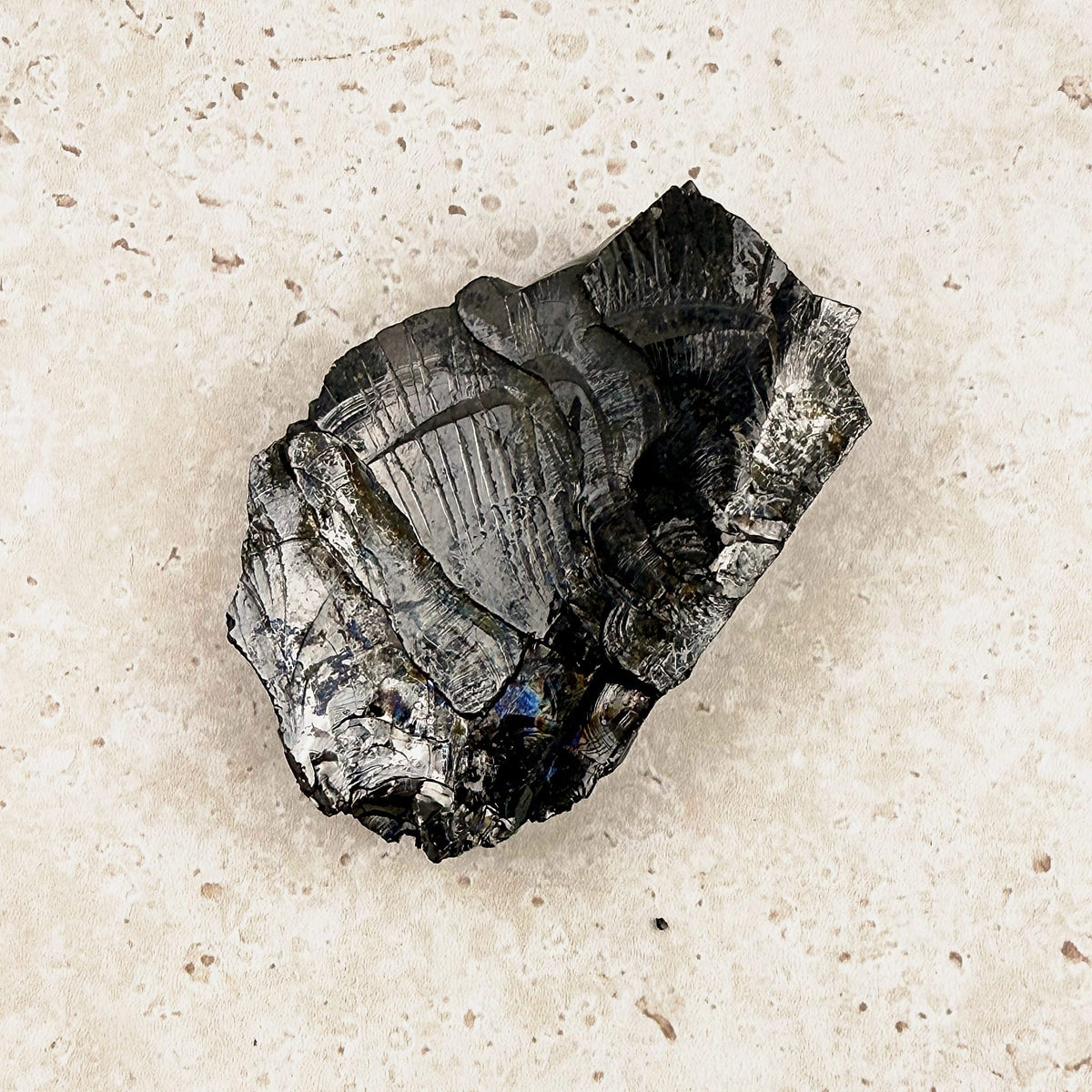 Silvery elite shungite rough crystal 7cm, silvery flashes across its faces, angled view — Eternal Spirit